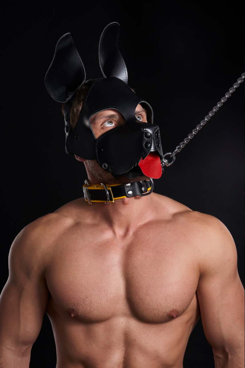 Puppyplay bdsm